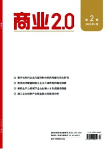 商业2.0期刊